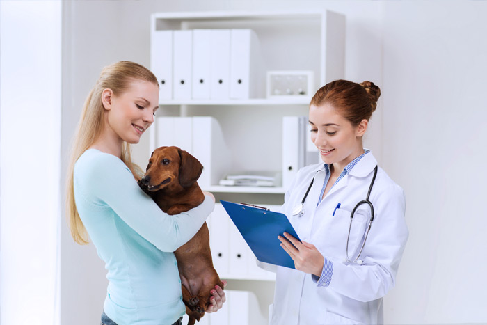 ЭЦП для оформления ветеринарных сертификатов (ГИС Меркурий) в Туле